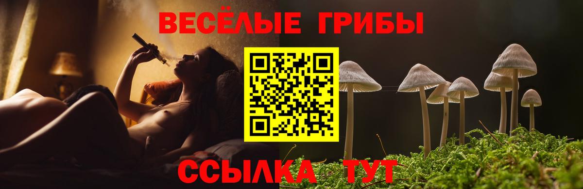 Галлюциногенные грибы GOLDEN TEACHER Хабаровск